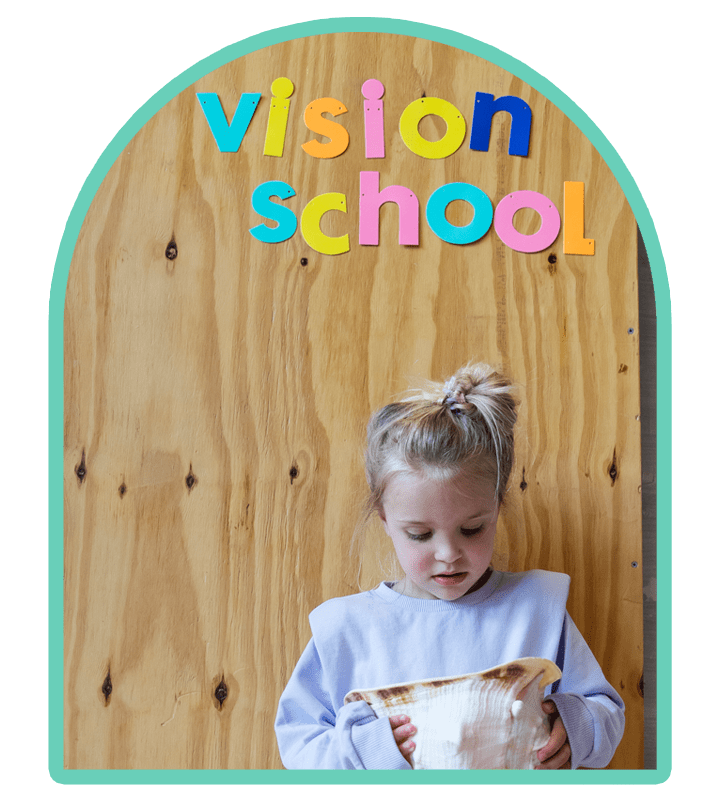 De Vision School methodiek